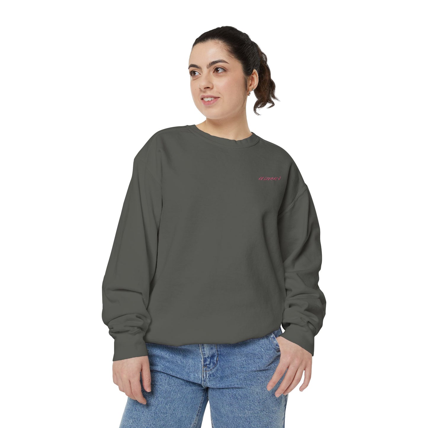 Chic Amour Embroidered Sweatshirt – Vintage French Style