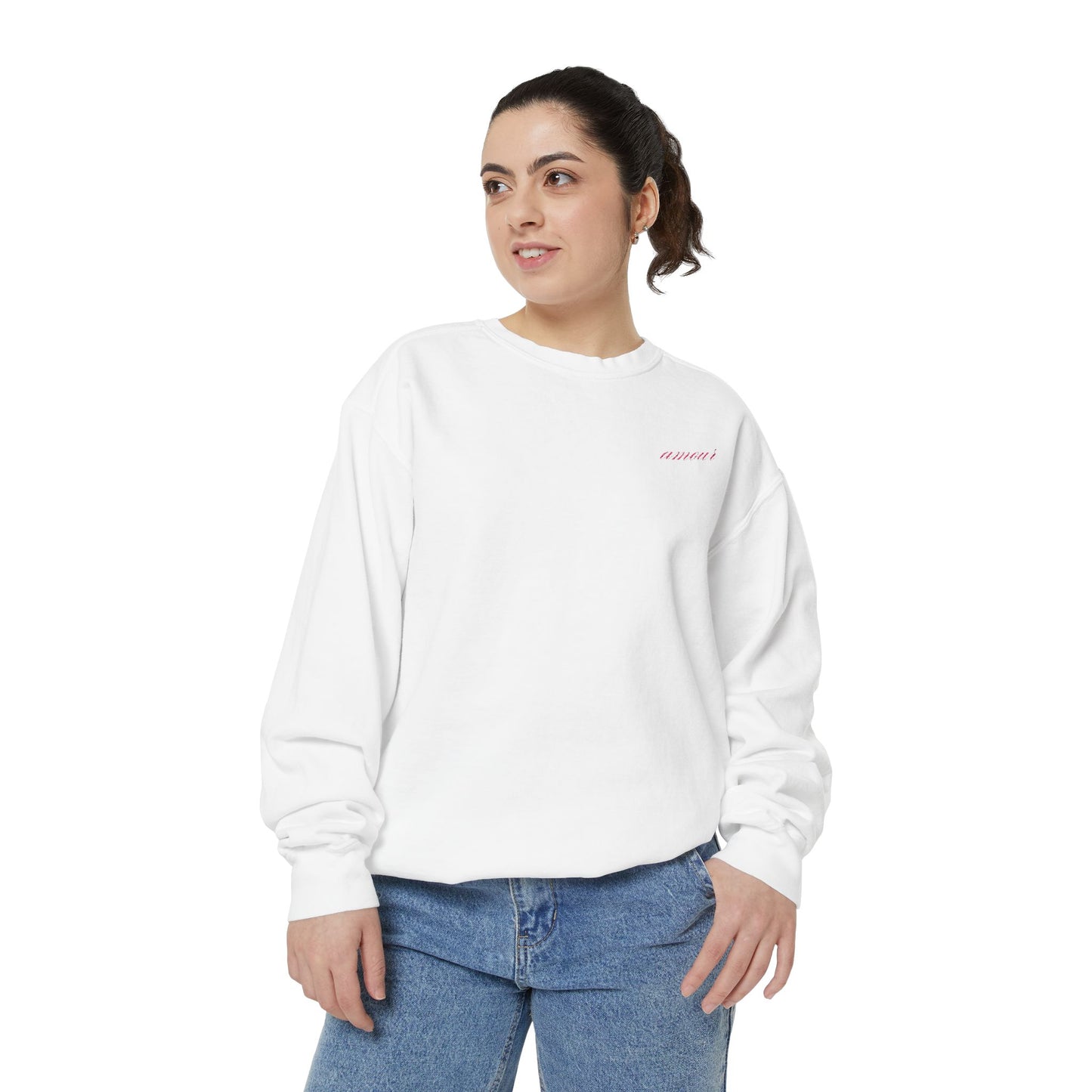 Chic Amour Embroidered Sweatshirt – Vintage French Style