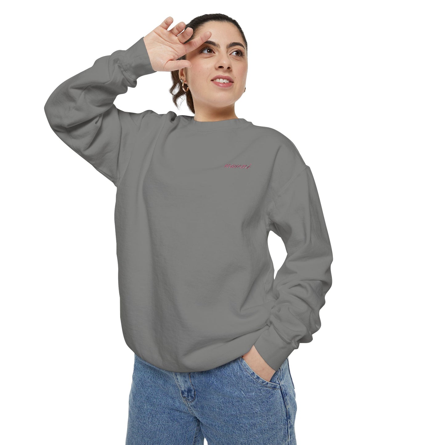 Chic Amour Embroidered Sweatshirt – Vintage French Style