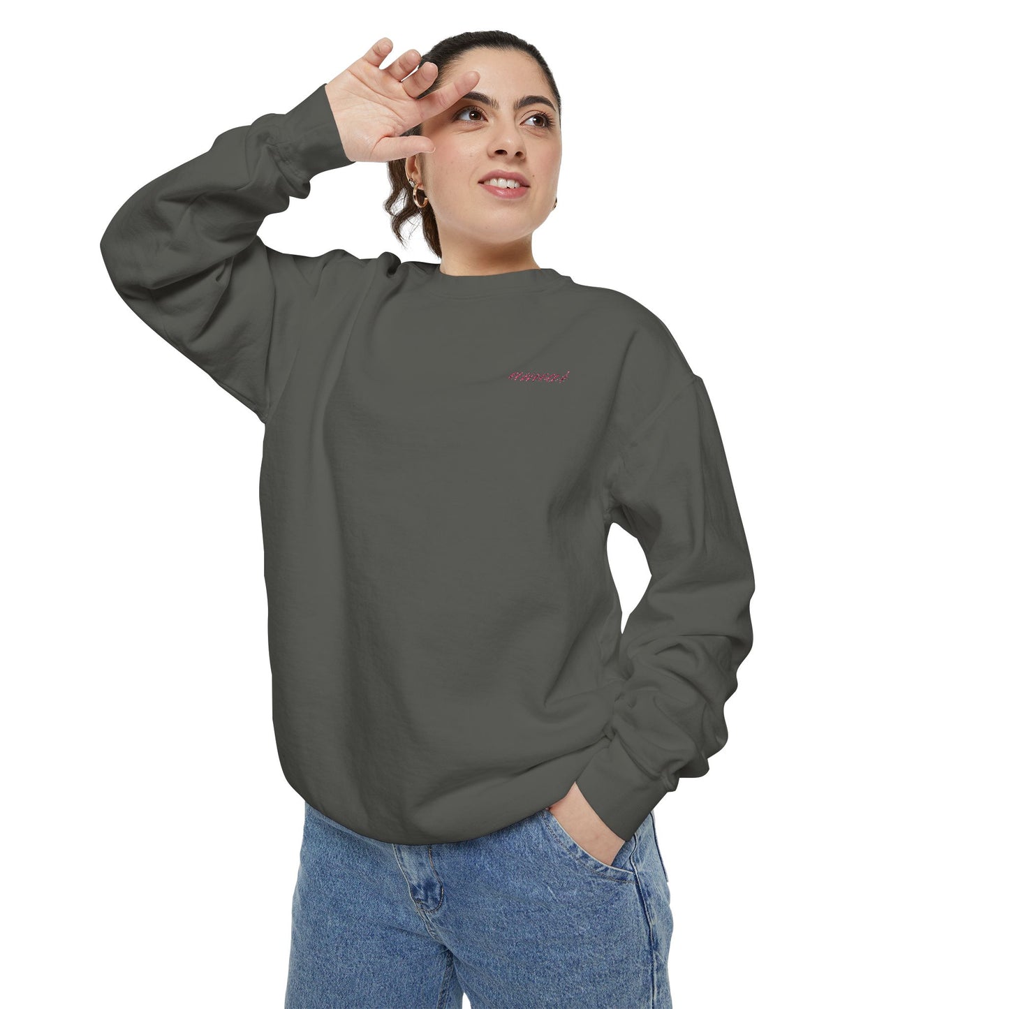 Chic Amour Embroidered Sweatshirt – Vintage French Style