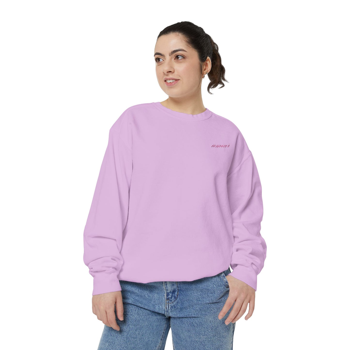 Chic Amour Embroidered Sweatshirt – Vintage French Style