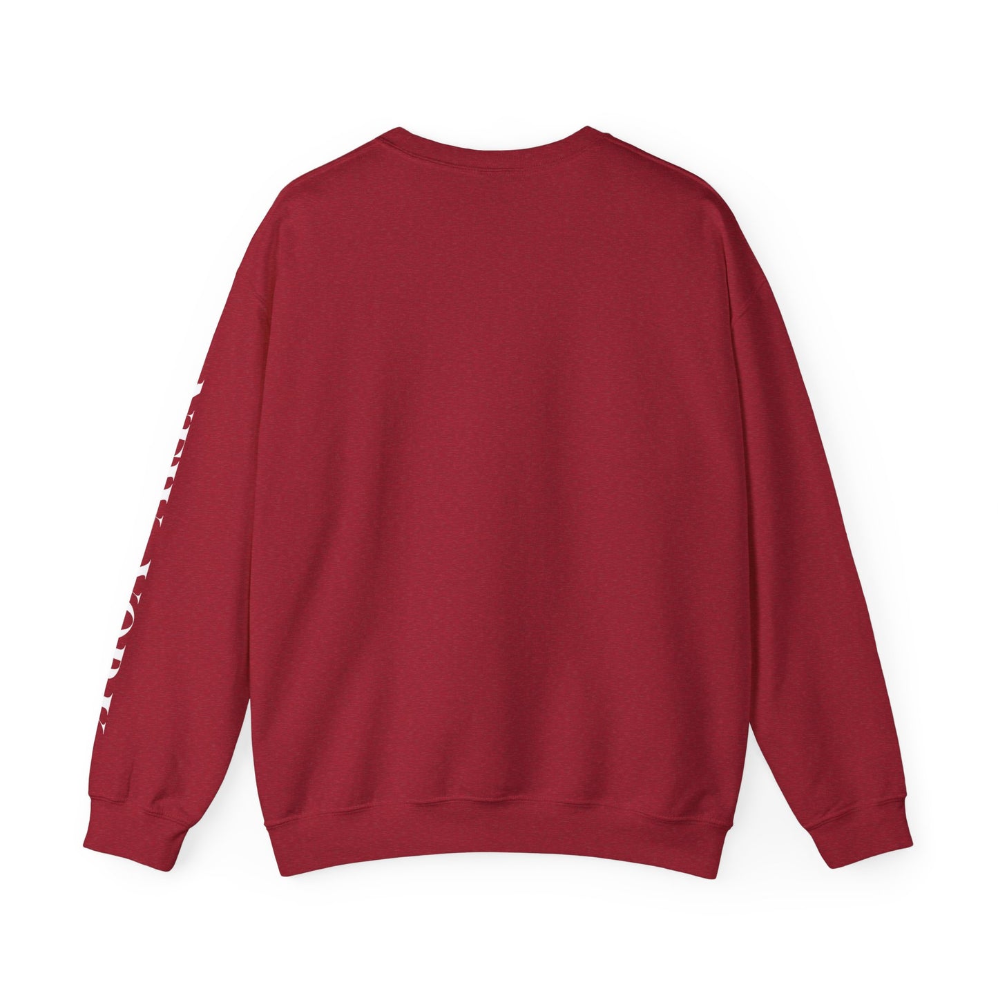 New York Teddy Bear Sweatshirt cozy