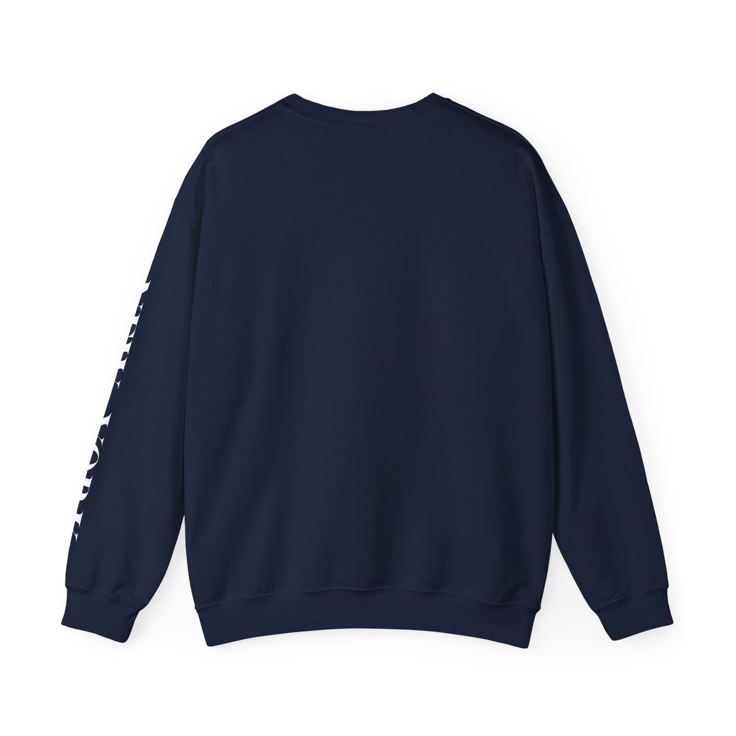 New York Teddy Bear Sweatshirt cozy