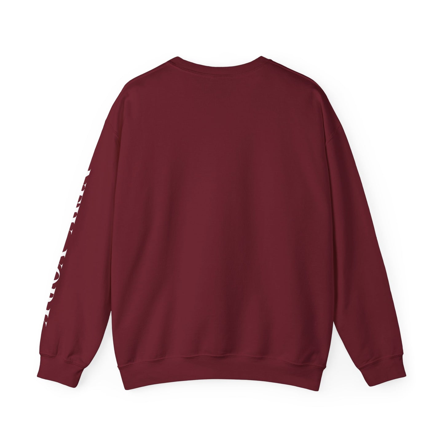 New York Teddy Bear Sweatshirt cozy