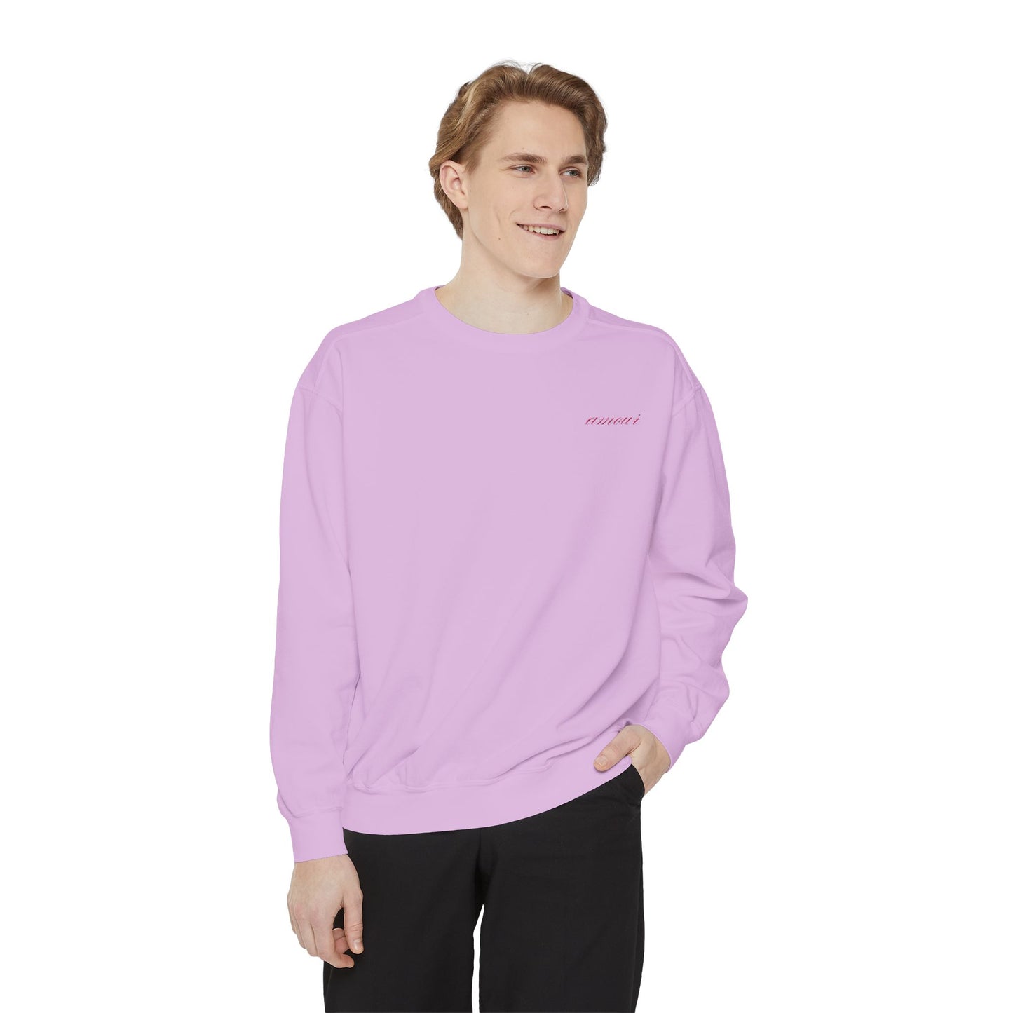 Chic Amour Embroidered Sweatshirt – Vintage French Style