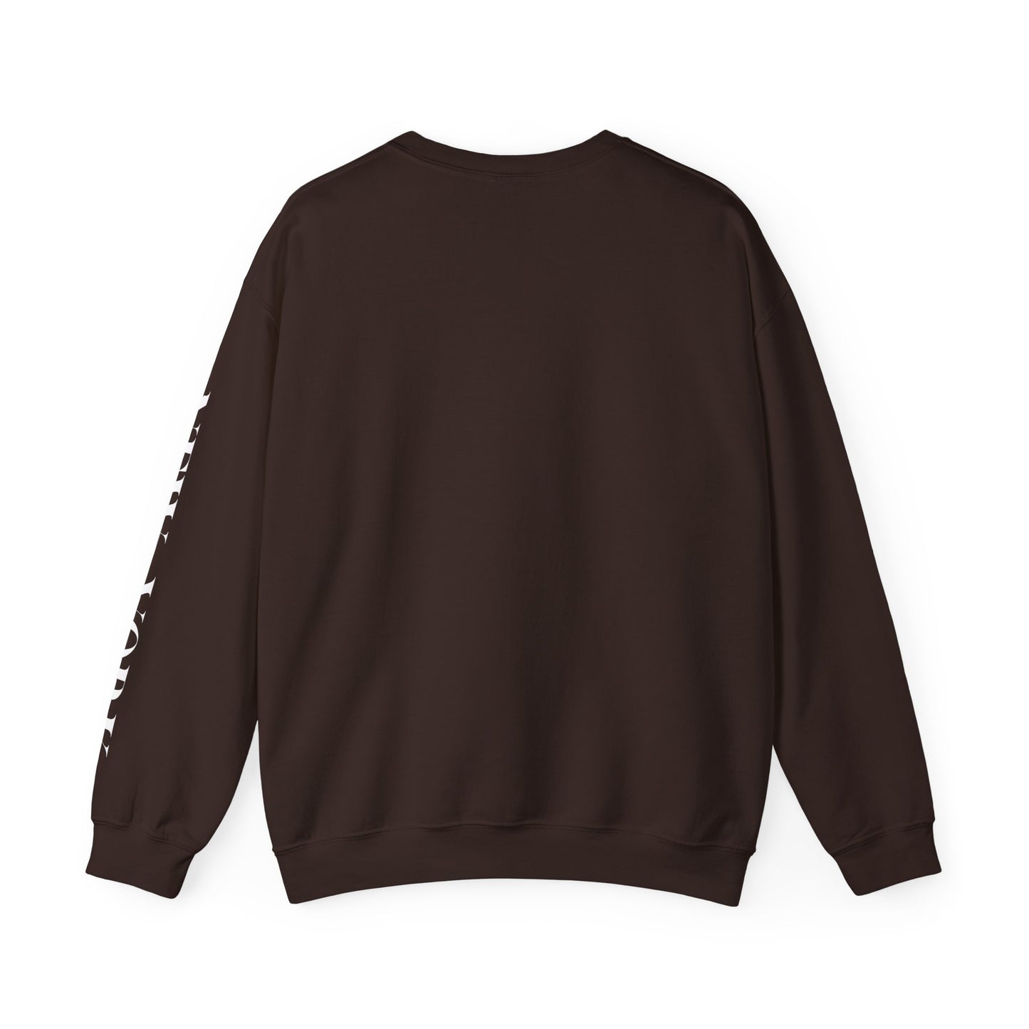 New York Teddy Bear Sweatshirt cozy