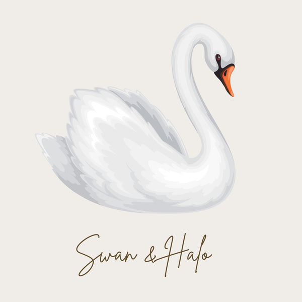 Swan & Halo